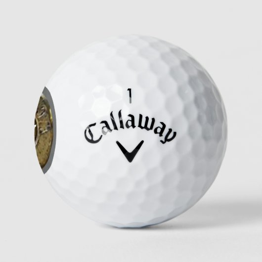 Balles De Golf BULLET Golf Balls (Logo)