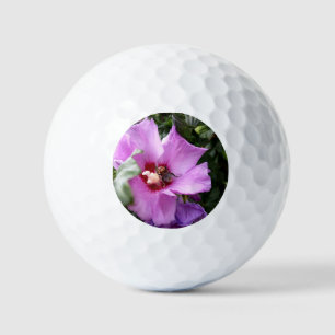 Balles De Golf Bumblebebe sur la fleur d'Hibiscus