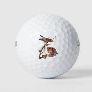 Balles De Golf Buse à épaulettes roux Audubon Oiseau de proie