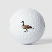 Balles De Golf Canada Goose (Devant)