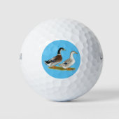 Balles De Golf Canards : Joyeuse Argent (Devant)