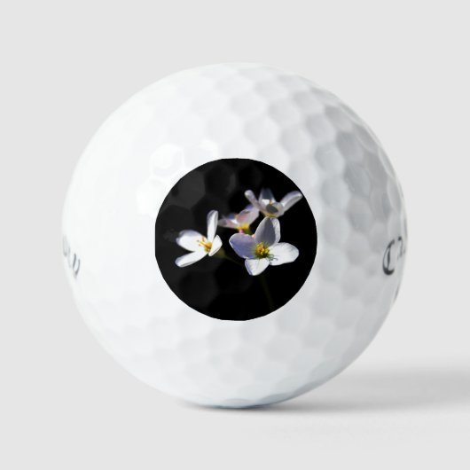 Balles De Golf Cardamine Pratensis Fleurs css gbcnm (Recto)