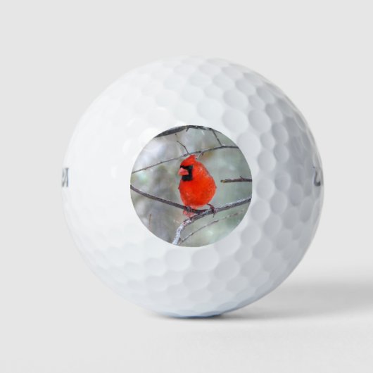 Balles De Golf Cardinal dans la neige (Devant)