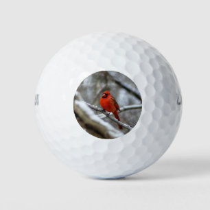 Balles De Golf Cardinal masculin
