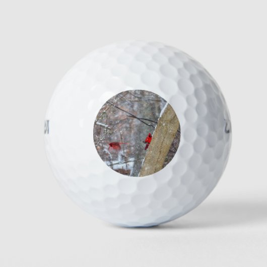 Balles De Golf Cardinaux dans la neige (Devant)