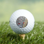 Balles De Golf Cardinaux dans la neige (T-shirt Insitu)