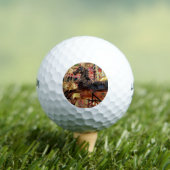 Balles De Golf Carousal (T-shirt Insitu)