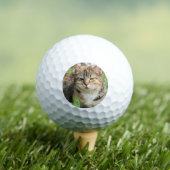 Balles De Golf Cat (T-shirt Insitu)