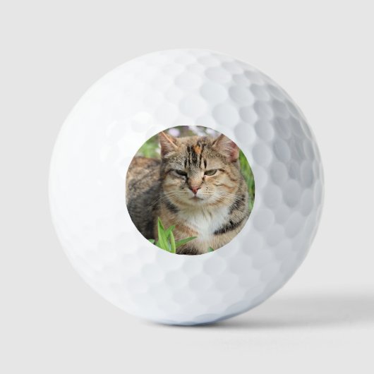 Balles De Golf Cat (Recto)