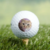 Balles De Golf Cat (T-shirt Insitu)