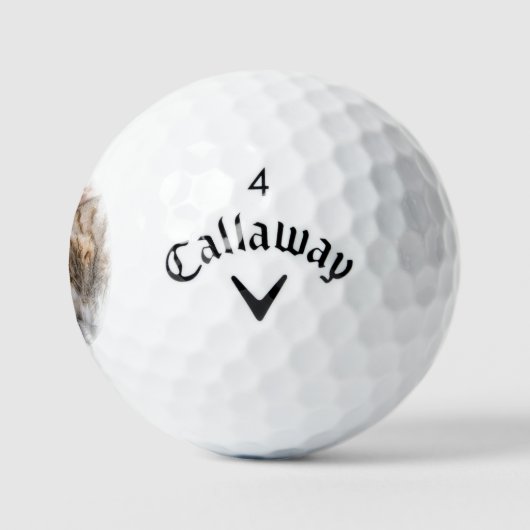 Balles De Golf Cat (Logo)
