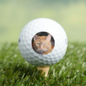 Balles De Golf Cat (T-shirt Insitu)