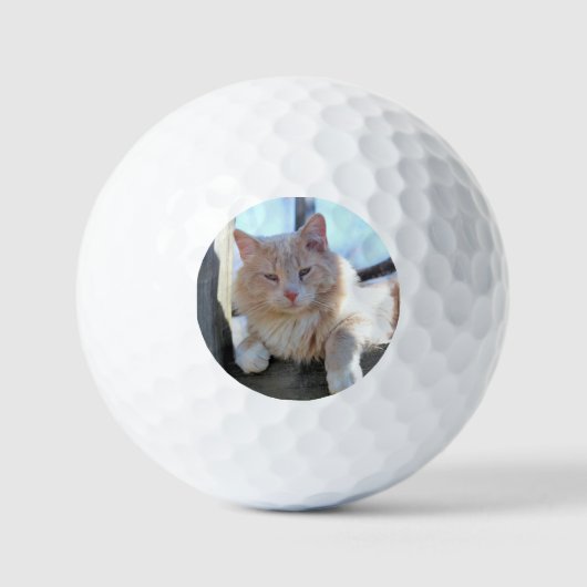 Balles De Golf Cat (Recto)