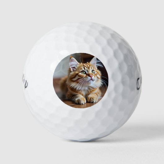 Balles De Golf Cat drôle (Devant)