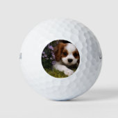 Balles De Golf Cavalier King Charles Spaniel (Devant)