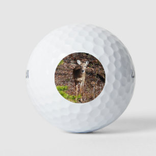Balles De Golf Cerf adorable dans les bois Photographie de la nat