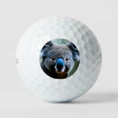Balles De Golf Cet Ours De Koala Aime Un Selfie, Des Boules De Go (Recto)