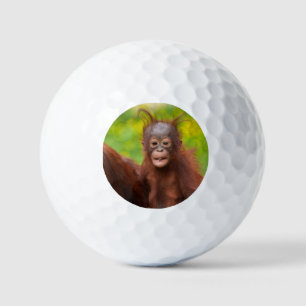 Balles De Golf Charme bizarre d'un bébé orangoutan