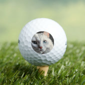 Balles De Golf Chat blanc (T-shirt Insitu)