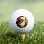 Balles De Golf Chat de Noël (4) (T-shirt Insitu)