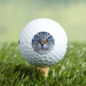 Balles De Golf Chat gris (T-shirt Insitu)