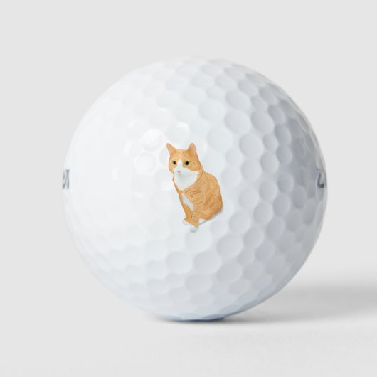 Balles De Golf Chat Tabby Orange (Devant)