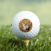Balles De Golf Chaton couchant (T-shirt Insitu)