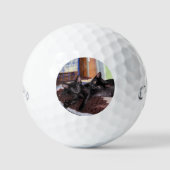 Balles De Golf Chatons (Recto)