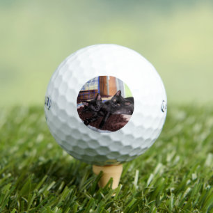 Balles De Golf Chatons