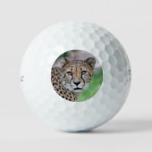 Balles De Golf Cheetah 009 (Recto)