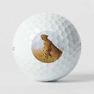 Balles De Golf Cheetah animal sauvage Big Cat photo