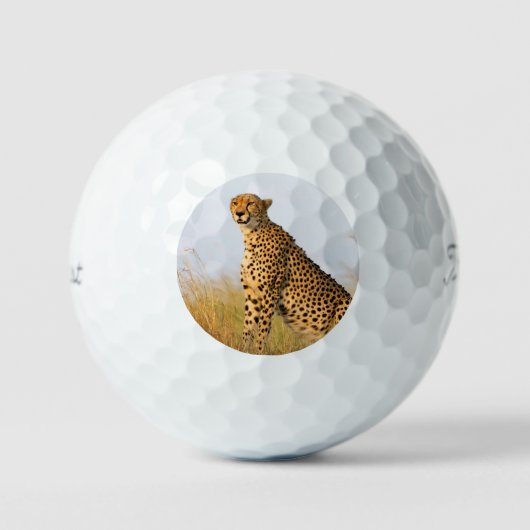 Balles De Golf Cheetah animal sauvage Big Cat photo (Recto)