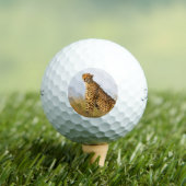 Balles De Golf Cheetah animal sauvage Big Cat photo (T-shirt Insitu)