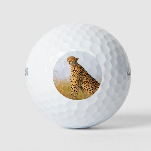 Balles De Golf Cheetah animal sauvage Big Cat photo (Devant)