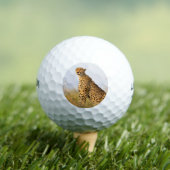 Balles De Golf Cheetah animal sauvage Big Cat photo (T-shirt Insitu)