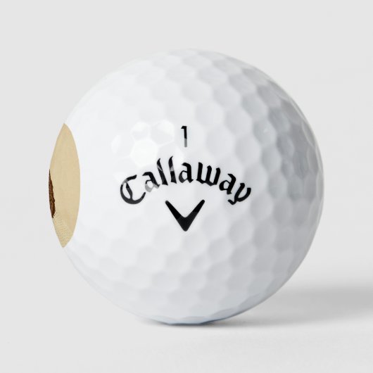 Balles De Golf Chemin de fer abolitionniste Harriet Tubman (Logo)