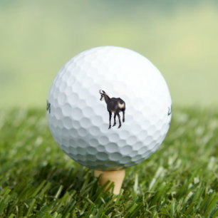 Balles De Golf Chèvre montagneuse minimaliste chamois alpin sur n