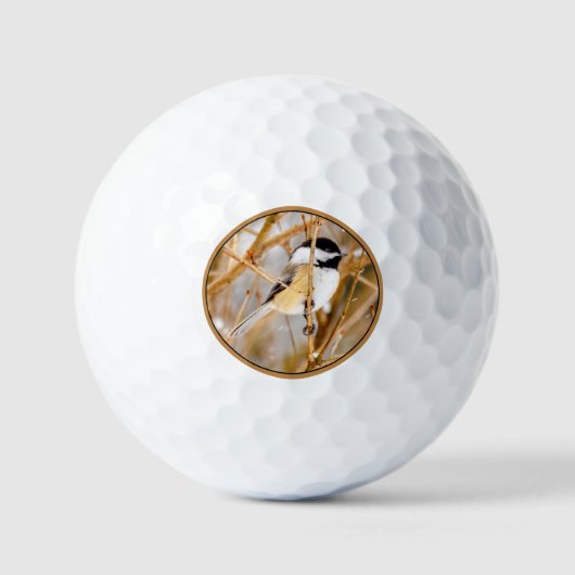 Balles De Golf Chickadee au plafond noir - Photo originale (Recto)
