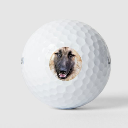 BALLES DE GOLF CHIEN ALLEMAND SHEPHERD (Devant)