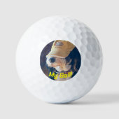Balles De Golf Chien Bernedoodle noir et blanc en casquette de go (Recto)