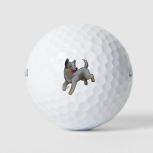 Balles De Golf Chien de bétail australien