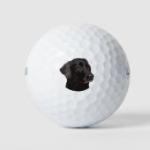 Balles De Golf Chien de Black Lab (Devant)