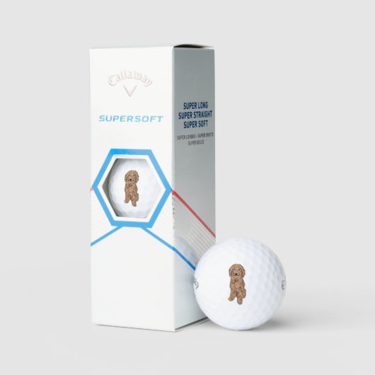 Balles De Golf Chien de doodle d'or (Conditionnement)