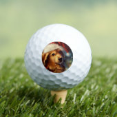 Balles De Golf Chien de Noël (4) (T-shirt Insitu)