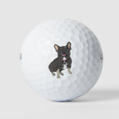 Balles De Golf Chien de taule français de Black et Tan (Devant)