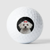 Balles de Golf Chien Maltais, Chiot Mignon, Style (Recto)