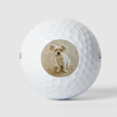 Balles de Golf Chien Morkie (Devant)