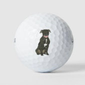 Balles De Golf Chien noir Pitbull (Devant)