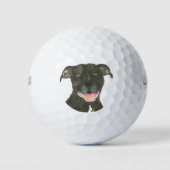 Balles De Golf Chien noir Pitbull (Devant)
