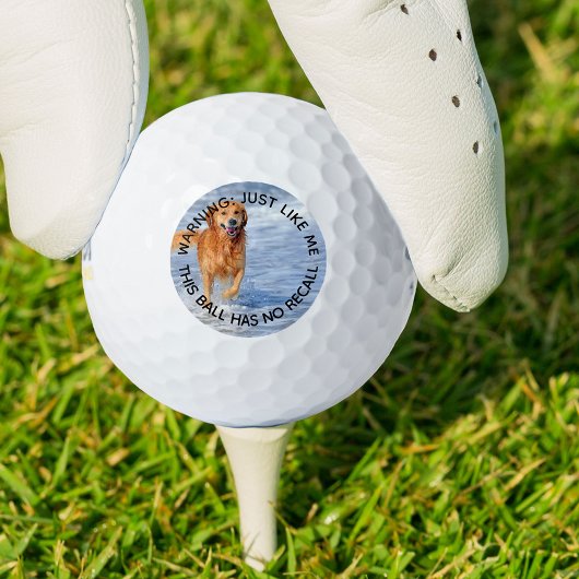 Balles De Golf Chien Papa Ça N'A Pas De Rappel Drôle Photo